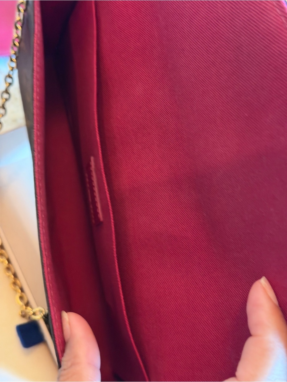 Louis Vuitton Pochette Félicie Monogram Crossbody Bag - Picture 13 of 17